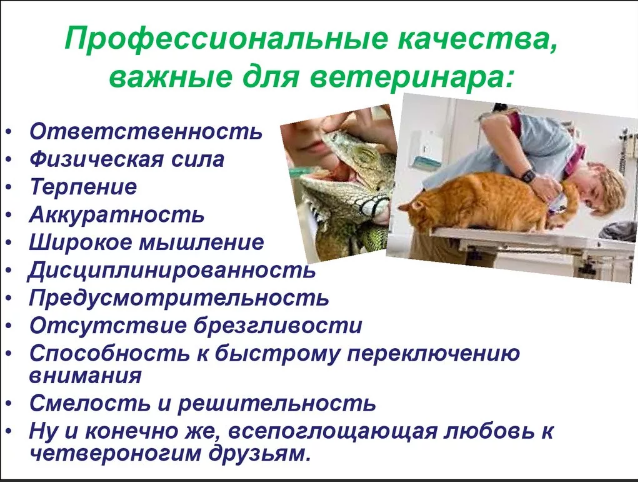 Комитет по образованию и делам молодежи - Страница 20 - Администрации Алтайского