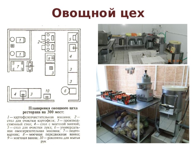 Организация рабочего места по обработке овощей. Организация рабочего места в овощном цехе схема. Организация работы овощного цеха технологическая схема. Овощной цех на предприятии общественного питания схема. Организация работы овощного цеха таблица.