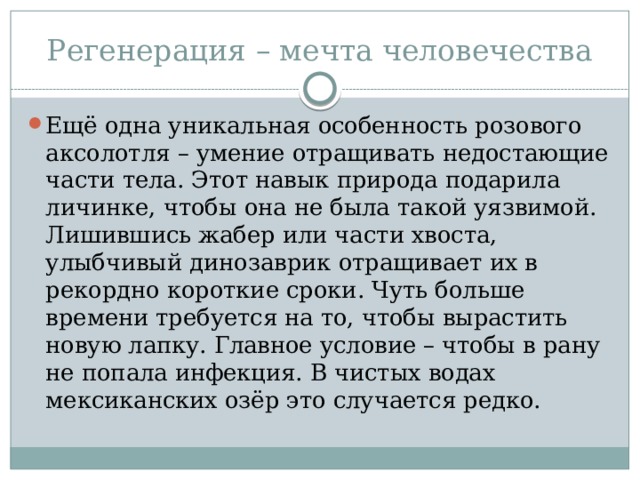 Регенерация – мечта человечества Ещё одна уникальная особенность розового аксолотля – умение отращивать недостающие части тела. Этот навык природа подарила личинке, чтобы она не была такой уязвимой. Лишившись жабер или части хвоста, улыбчивый динозаврик отращивает их в рекордно короткие сроки. Чуть больше времени требуется на то, чтобы вырастить новую лапку. Главное условие – чтобы в рану не попала инфекция. В чистых водах мексиканских озёр это случается редко. 