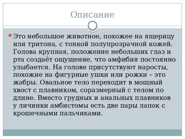 Описание Это небольшое животное, похожее на ящерицу или тритона, с тонкой полупрозрачной кожей. Голова крупная, положение небольших глаз и рта создаёт ощущение, что амфибия постоянно улыбается. На голове присутствуют наросты, похожие на фигурные ушки или рожки – это жабры. Овальное тело переходит в мощный хвост с плавником, соразмерный с телом по длине. Вместо грудных и анальных плавников у личинки амбистомы есть две пары лапок с крошечными пальчиками. 
