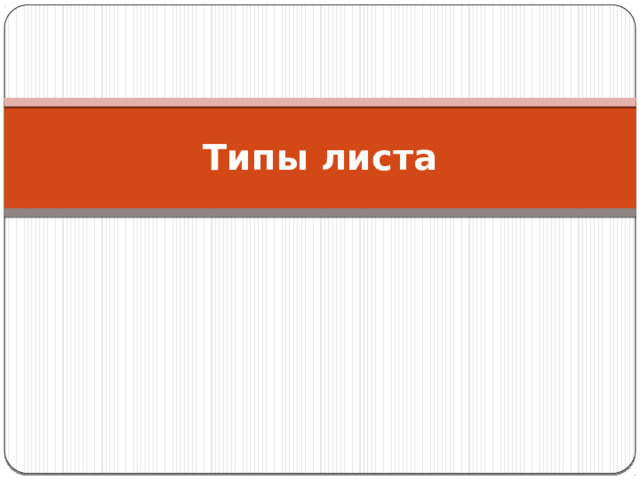 Типы листа 