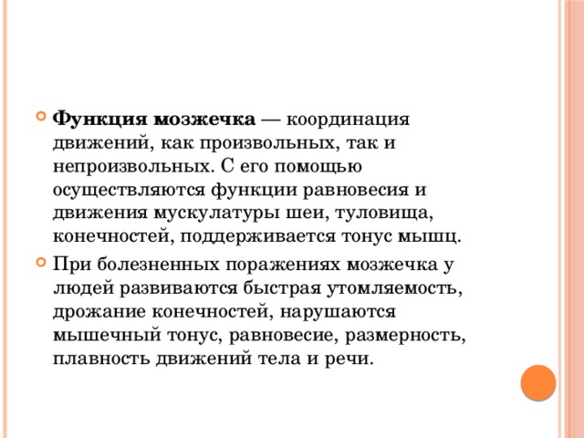 Функция мозжечка  — координация движений, как произвольных, так и непроизвольных. С его помощью осуществляются функции равновесия и движения мускулатуры шеи, туловища, конечностей, поддерживается тонус мышц. При болезненных поражениях мозжечка у людей развиваются быстрая утомляемость, дрожание конечностей, нарушаются мышечный тонус, равновесие, размерность, плавность движений тела и речи. 