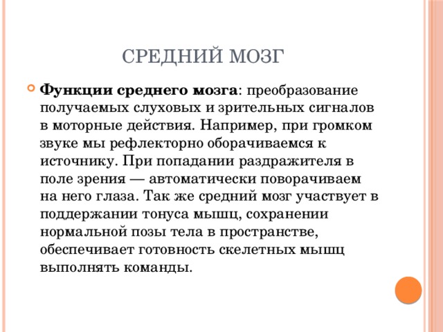 Средний мозг Функции среднего мозга : преобразование получаемых слуховых и зрительных сигналов в моторные действия. Например, при громком звуке мы рефлекторно оборачиваемся к источнику. При попадании раздражителя в поле зрения — автоматически поворачиваем на него глаза. Так же средний мозг участвует в поддержании тонуса мышц, сохранении нормальной позы тела в пространстве, обеспечивает готовность скелетных мышц выполнять команды. 