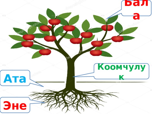 Презентация сау бул бакча