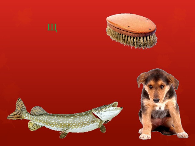 Щ 