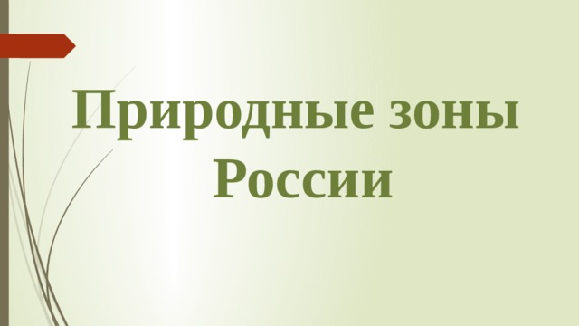 Природные зоны  России 