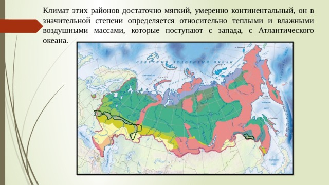 Карта природных зон турции