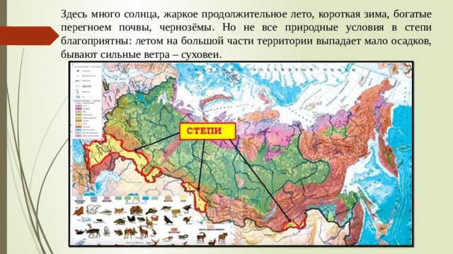 Здесь много солнца, жаркое продолжительное лето, короткая зима, богатые перегноем почвы, чернозёмы. Но не все природные условия в степи благоприятны: летом на большой части территории выпадает мало осадков, бывают сильные ветра – суховеи. 