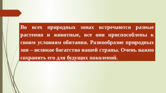 Во всех природных зонах встречаются разные растения и животные, все они приспособлены к своим условиям обитания. Разнообразие природных зон – великое богатство нашей страны. Очень важно сохранить его для будущих поколений. 