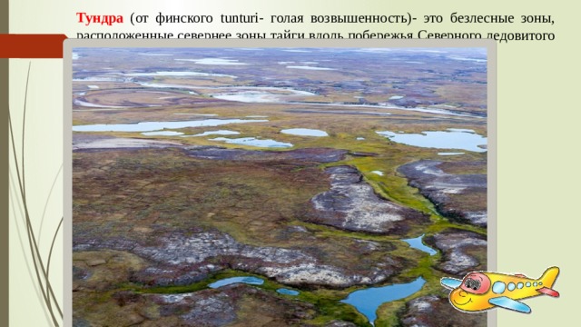 Тундра (от финского tunturi- голая возвышенность)- это безлесные зоны, расположенные севернее зоны тайги вдоль побережья Северного ледовитого океана. 