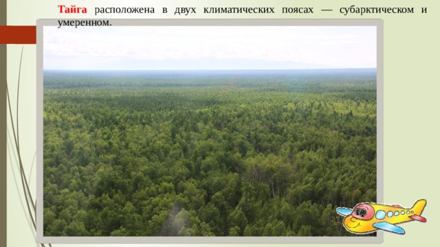 Тайга  расположена в двух климатических поясах — субарктическом и умеренном. 