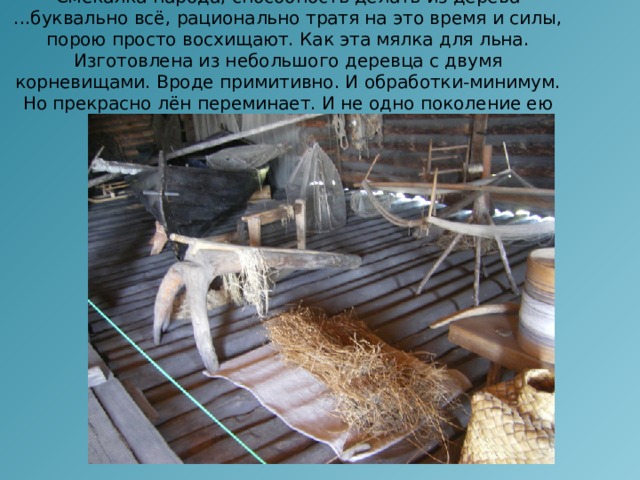 Смекалка народа, способность делать из дерева ...буквально всё, рационально тратя на это время и силы, порою просто восхищают. Как эта мялка для льна. Изготовлена из небольшого деревца с двумя корневищами. Вроде примитивно. И обработки-минимум. Но прекрасно лён переминает. И не одно поколение ею пользовалось. 