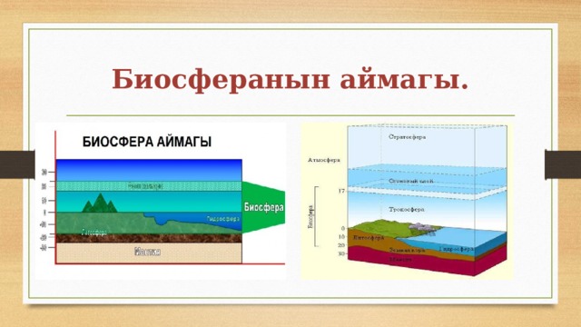 Биосферанын аймагы. 