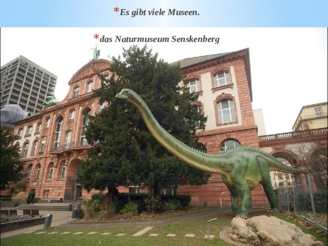 Es gibt viele Museen. das Naturmuseum Senskenberg 