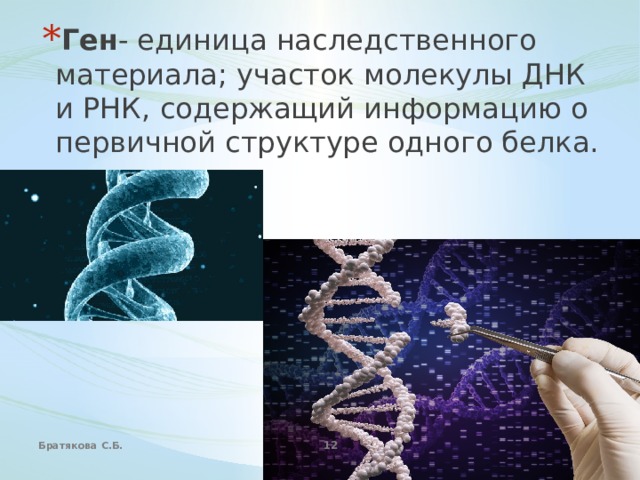 Ген - единица наследственного материала; участок молекулы ДНК и РНК, содержащий информацию о первичной структуре одного белка.  Братякова С.Б.  