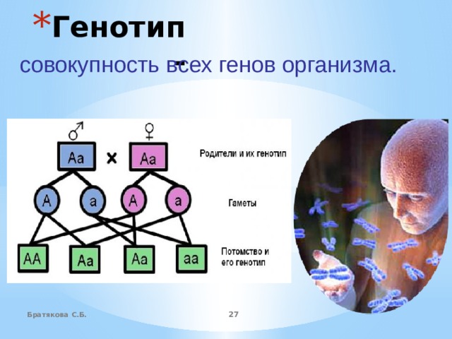 Характер генотипа