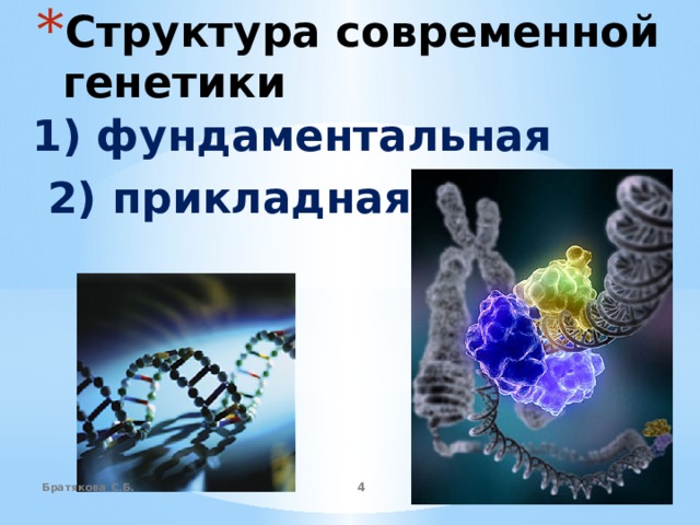 Структура современной генетики 1) фундаментальная  2) прикладная Братякова С.Б.  