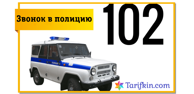 Как выглядит номер полиции 17.04.2020. 9 класс. Человек и общество, тема урока: "Полиция"