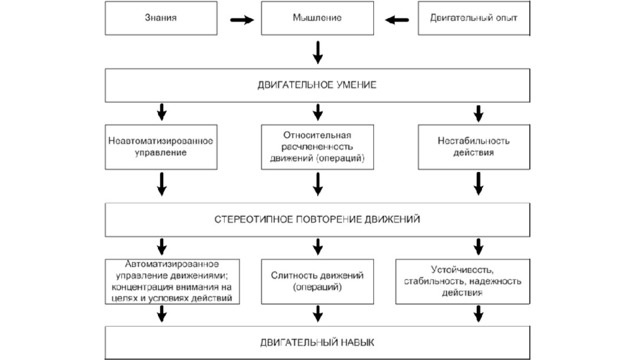 Главные отличия двигательных действий