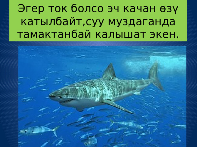 Эгер ток болсо эч качан өзү катылбайт,суу муздаганда тамактанбай калышат экен. 