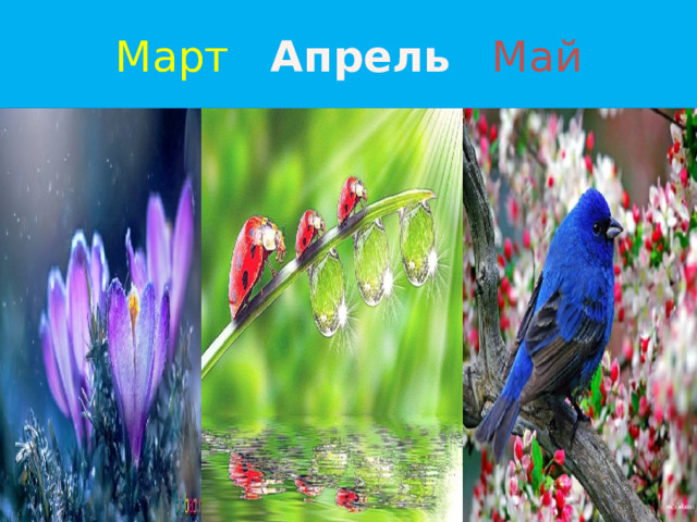 Март  Апрель  Май 