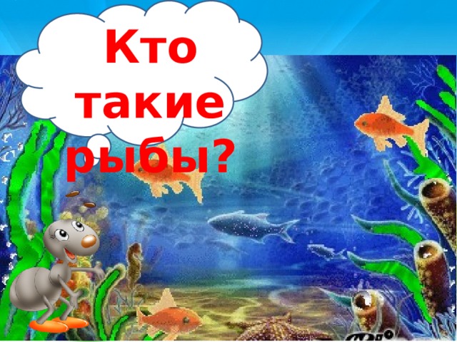 Презентация 1 кл кто такие рыбы