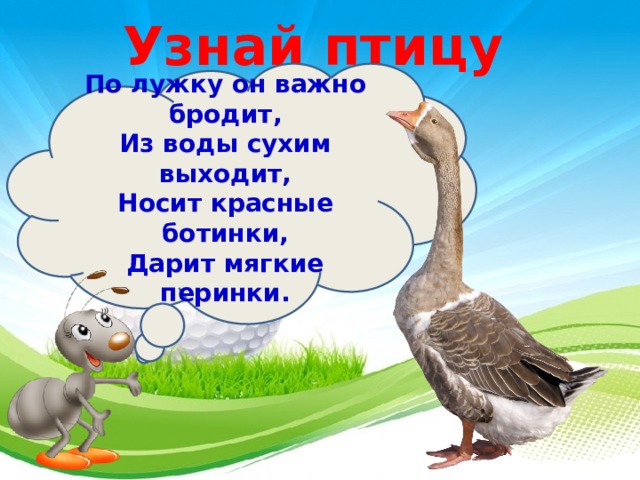 Кто такие птицы 1 класс презентация. Кто выходит сухим из воды. По лужку. Мягкие перинки по лужку он. Кто такие птицы 1 класс презентация школа России.