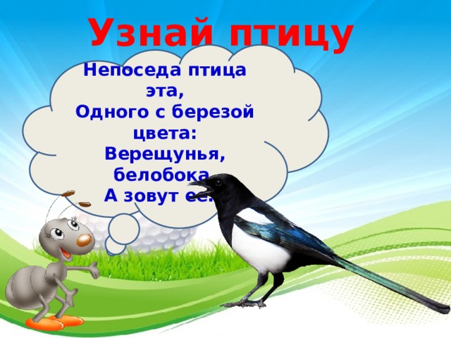 Кто такие птицы 1 класс. Непоседа птица эта одного с берёзой цвета. Пернатые Непоседы птицы. Птичка Непоседа. Кто такие птицы 1 класс презентация школа России.