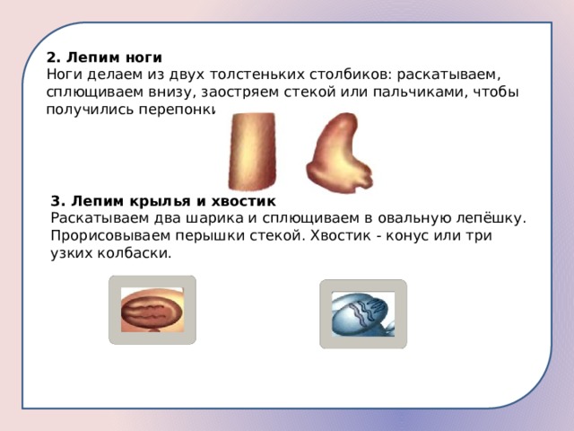 2. Лепим ноги Ноги делаем из двух толстеньких столбиков: раскатываем, сплющиваем внизу, заостряем стекой или пальчиками, чтобы получились перепонки. 3. Лепим крылья и хвостик Раскатываем два шарика и сплющиваем в овальную лепёшку. Прорисовываем перышки стекой. Хвостик - конус или три узких колбаски. 