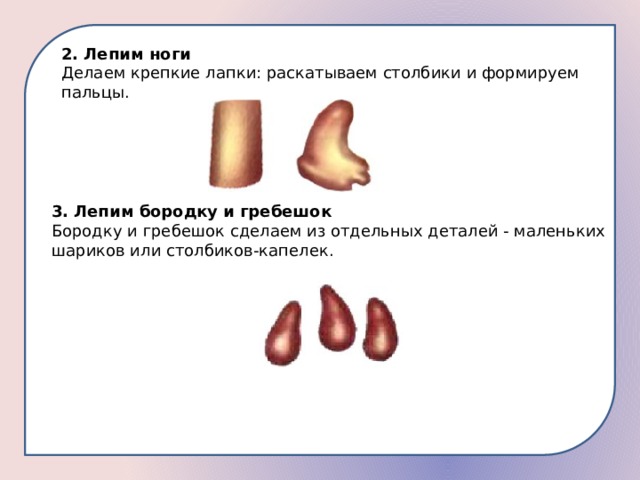 2. Лепим ноги Делаем крепкие лапки: раскатываем столбики и формируем пальцы. 3. Лепим бородку и гребешок Бородку и гребешок сделаем из отдельных деталей - маленьких шариков или столбиков-капелек. 
