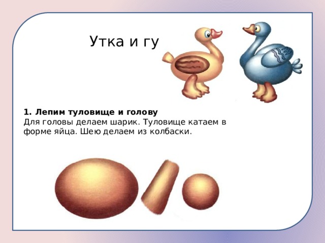 Утка и гусь 1. Лепим туловище и голову Для головы делаем шарик. Туловище катаем в форме яйца. Шею делаем из колбаски. 