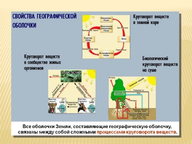 Географическая оболочка презентация 6 класс