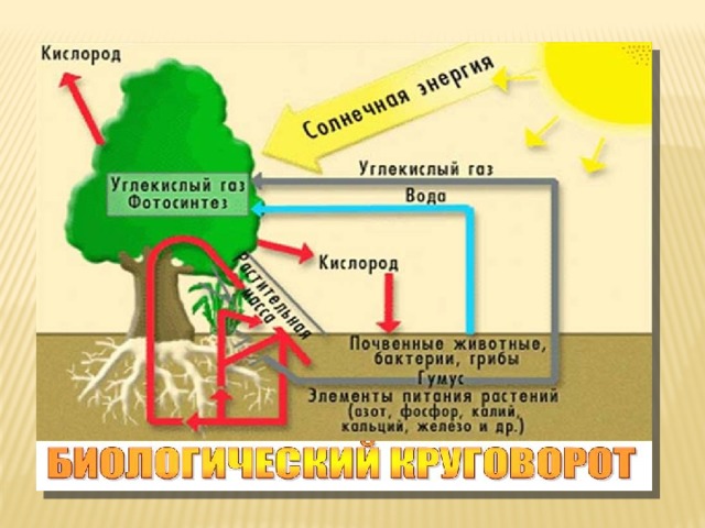 Взаимосвязь оболочек земли презентация