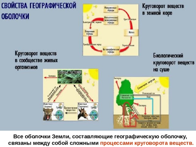 Все оболочки Земли, составляющие географическую оболочку,  связаны между собой сложными процессами круговорота веществ. 