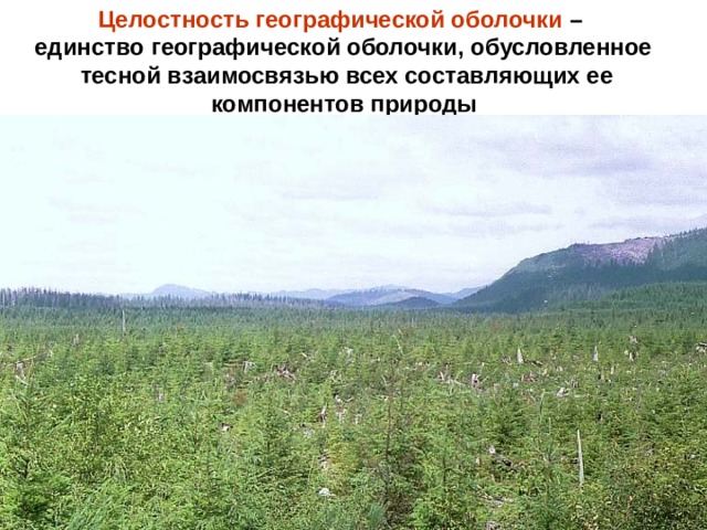 Целостность географической оболочки – единство географической оболочки, обусловленное  тесной взаимосвязью всех составляющих ее  компонентов природы  
