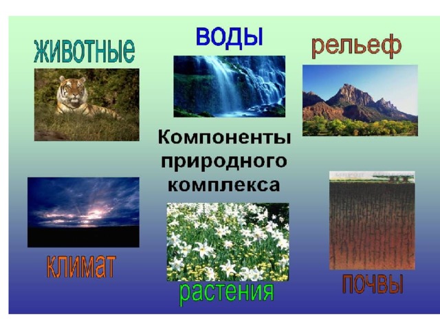Состоит из природных комплексов 