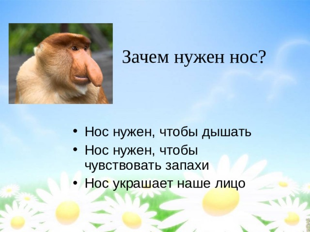 Зачем нос