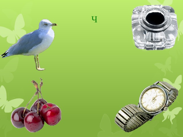 Ч 