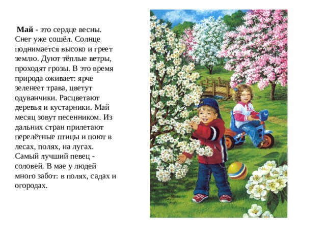   Май  - это сердце весны. Снег уже сошёл. Солнце поднимается высоко и греет землю. Дуют тёплые ветры, проходят грозы. В это время природа оживает: ярче зеленеет трава, цветут одуванчики. Расцветают деревья и кустарники. Май месяц зовут песенником. Из дальних стран прилетают перелётные птицы и поют в лесах, полях, на лугах. Самый лучший певец - соловей. В мае у людей много забот: в полях, садах и огородах. 