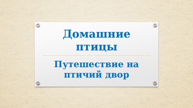 Домашние птицы Путешествие на птичий двор 