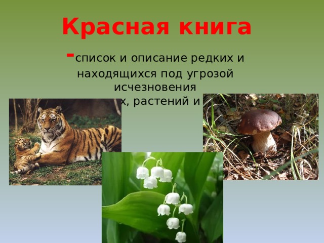 Красная книга - список и описание редких и   находящихся под угрозой   исчезновения   животных, растений и грибов 