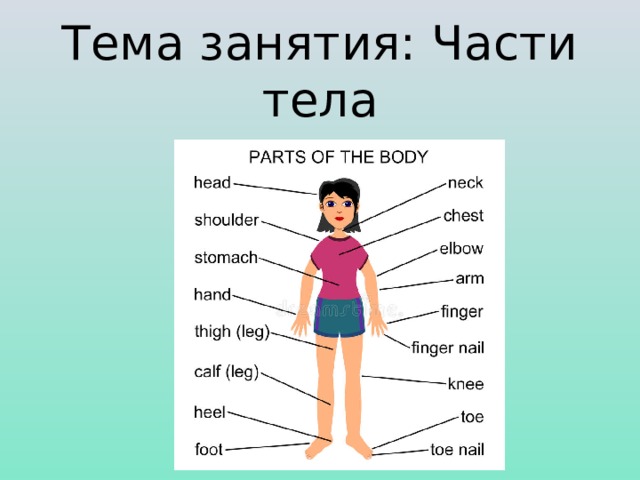 Parts of body презентация