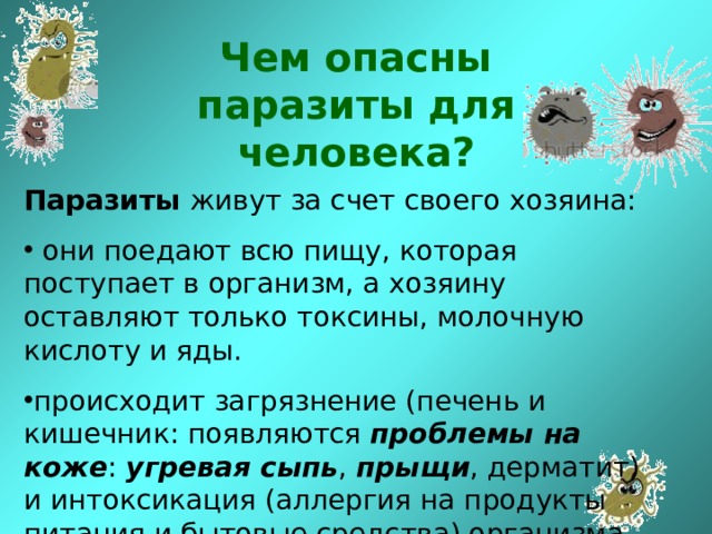 Чем опасны паразиты для человека? Паразиты живут за счет своего хозяина:  они поедают всю пищу, которая поступает в организм, а хозяину оставляют только токсины, молочную кислоту и яды. происходит загрязнение (печень и кишечник: появляются проблемы на коже : угревая сыпь , прыщи , дерматит) и интоксикация (аллергия на продукты питания и бытовые средства) организма. 