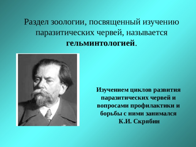  Раздел зоологии, посвященный изучению паразитических червей, называется гельминтологией . Изучением циклов развития паразитических червей и вопросами профилактики и борьбы с ними занимался К.И. Скрябин 