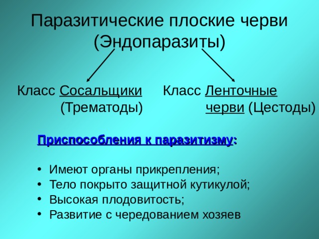 Паразитические плоские черви  (Эндопаразиты) Класс Сосальщики   (Трематоды) Класс Ленточные   черви (Цестоды) Приспособления к паразитизму :  Имеют органы прикрепления; Тело покрыто защитной кутикулой; Высокая плодовитость; Развитие с чередованием хозяев  