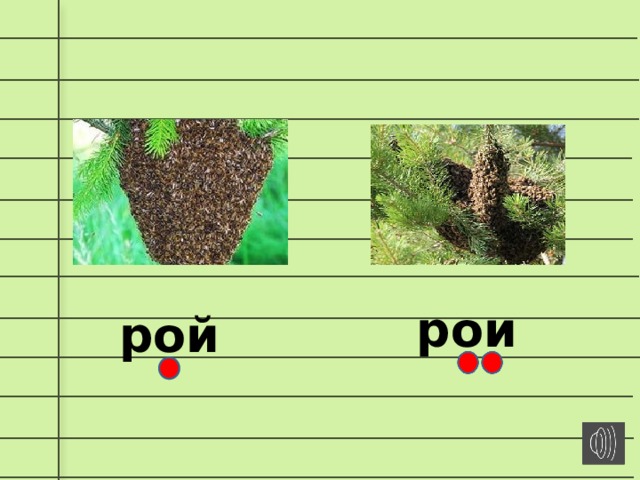 Роет сколько букв. Различие звуков и и й. Различие звуков и и й 1 класс. Различие й и буквой и. Рой слово.