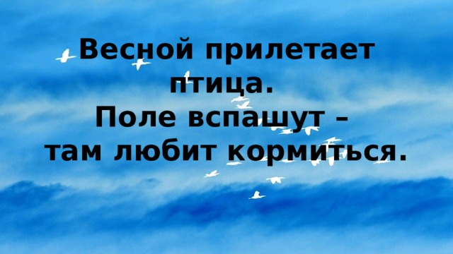 Весной прилетает птица.  Поле вспашут –  там любит кормиться. 