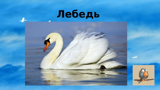 Лебедь 