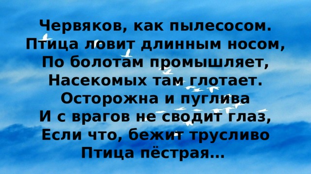 Червяков, как пылесосом.  Птица ловит длинным носом,  По болотам промышляет,  Насекомых там глотает.  Осторожна и пуглива  И с врагов не сводит глаз,  Если что, бежит трусливо  Птица пёстрая…  