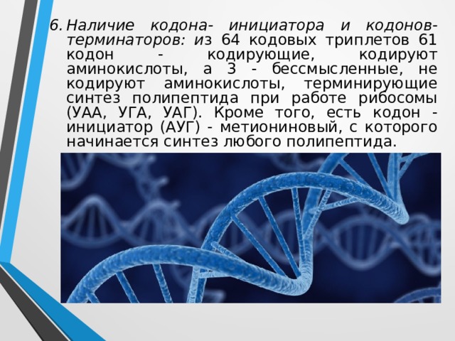 Наличие кодона- инициатора и кодонов-терминаторов: и з 64 кодовых триплетов 61 кодон - кодирующие, кодируют аминокислоты, а 3 - бессмысленные, не кодируют аминокислоты, терминирующие синтез полипептида при работе рибосомы (УАА, УГА, УАГ). Кроме того, есть кодон - инициатор (АУГ) - метиониновый, с которого начинается синтез любого полипептида.  